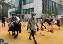 경기도, 유치원·어린이집 대상 어린이 말 체험 3월부터 무료 운영