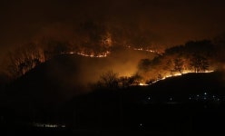 의성 산불 번진 경북 북동부…일가족 등 사망자 9명 발생