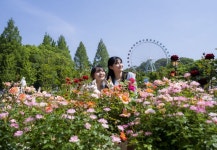사막여우와 함께하는 장미축제 에버랜드 로로티 16일 팡파르