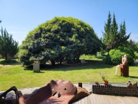 전남도 구례서 2025 전남 민간정원 페스타 즐기세요