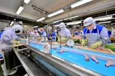 복날 특수 맞은 하림.. 익산·정읍공장 생산라인 풀가동