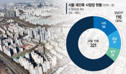 서초 54곳 vs 노·도·강 15곳… 돈 되는 재건축 강남 쏠림