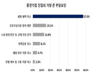 부산 강소기업 중견기업 도약 원하지만 혜택 축소는 큰 부담