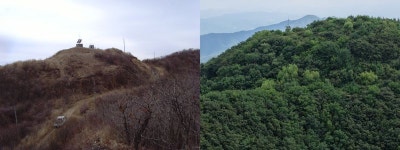 산림생태복원 20년 최고 복원지는 김천 바람재