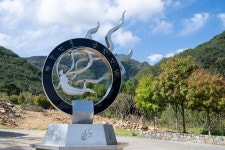 K-미식벨트 금산 인삼 미식투어 직접 가보니