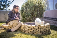 반려동물 사료 속 잔류농약, 극미량까지 잡아냅니다 [Weekend 반려동물]