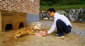 오늘 실패했다고 망한거 아니예요, 세상이 다그쳐도 스스로에겐 관대해지세요 [괜찮아, 다시 인생]