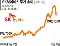 2배로 먹으려다 2배로 손실… 삼전닉스 레버리지 ETF 20% 급락 [증시 '블랙 먼데이']