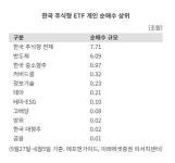 반도체 ETF에만 79% 몰렸다…커지는 '삼전닉스 쏠림'