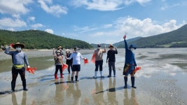 전남광주통합특별시 "'신안 임자만났네 마을'서 농촌 체험하며 힐링하세요"