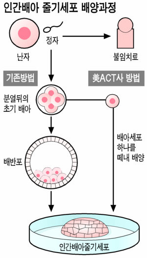 샤마리 이미지