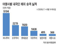 범한여행사주 | 범한여행, 우회상장 ‥ 여행테마 '불씨' 될까