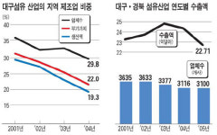 대구 섬유업체, 해외 집단이전 추진