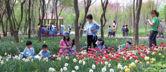 용인 한택식물원 … 春風도 달콤~ 봄꽃 사랑방