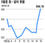 재경부ㆍ한은 공조에 환율 수직상승
