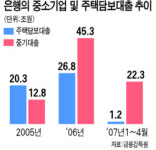 [분당급 동탄 제2신도시] 주택대출 현장점검 강화