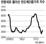 D램 값 급등 … 반도체株 힘받나