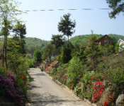 용인 토지분양