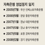 분당저축은행 영업정지 왜?