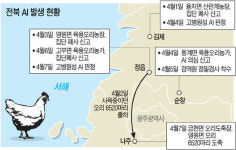 전북 AI 급속히 확산, 축산농가 또 직격탄