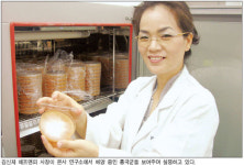 [기술금융 현장을 가다] (4)에프앤피 … 700g에 10만원 기능성 쌀 홍국미