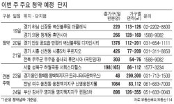 안성 공도읍 벽산블루밍 1378가구 20일 청약