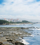 [2008 대한민국 명품브랜드 대상] 대명레저산업‥레저와 엔터 결합 선두 질주
