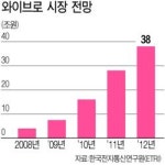 와이브로 장비 수출시장 열린다