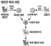 알앤엘바이오, 복제 비즈니스 뜰까