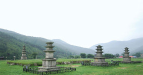 냉풍욕.솔숲 산책.탁족 … 천연 에어컨 피서