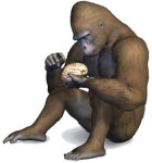 [Cover Story] 사람의 마음은 뇌가 지배한다