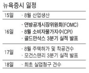 [미국증시] 리먼 악재ㆍ메릴린치 호재 힘겨루기
