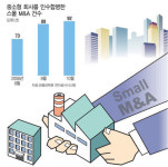 덩치보다 실속 스몰 M&A 뜬다