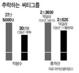 씨티 몸집 줄여야 산다