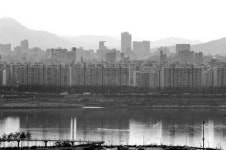 美 시애틀서도 압구정 매물 있나요