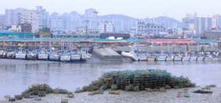 겨울의 끝자락 소래포구에서 봄을 먹다