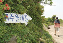 [트래블] 제주 올레 100배 즐기기