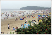 [대전·충청]서천 춘장대 해수욕장, 다음달 4일 개장