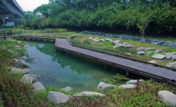 청계천 하류에 무슨 일이?