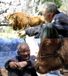 다큐멘터리 영화 워낭소리 일본 열도 진출