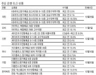 [금융 재테크 전략] ELD 투자 어떻게…주가 따라 수익 달라…상승·안전·하락형 입맛대로