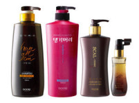 [2009 올해의 브랜드 대상] 댕기머리‥한방샴푸 원조…11년간 시장 주도