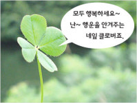 [홍성호 기자의 말짱 글짱] 진화하는 우리말 “건강하세요” “행복하세요”