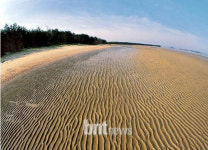 꼭 있어야 할 곳에 털이 없다면?