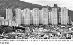 부산의 강남 해운대 센텀시티…전세난도 판박이