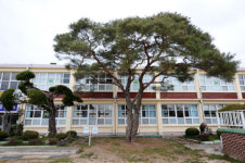 [LG웨이 70년] 태양전지ㆍ차세대조명…테크노 LG 올 최고 매출 도전