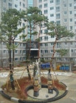 [새 입주 아파트 탐방]용인 신봉 센트레빌, 광교산에 둘러싸인 친환경 단지