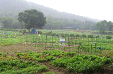 ‘하이서울 친환경 농장’ 봄맞이 개장