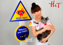 H&T, 유기동물 수호천사 된다