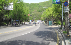 더 쾌적하고, 걷기 편하게! 남산 소월길 변신 중
